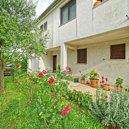Apartman Crevatin *